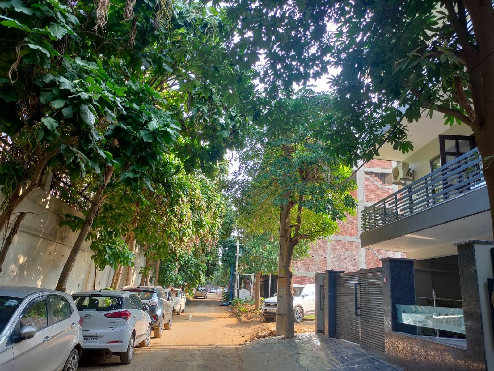 2BHK FULLY Furnished Flat In Sector 54 Gurgaon Haryana