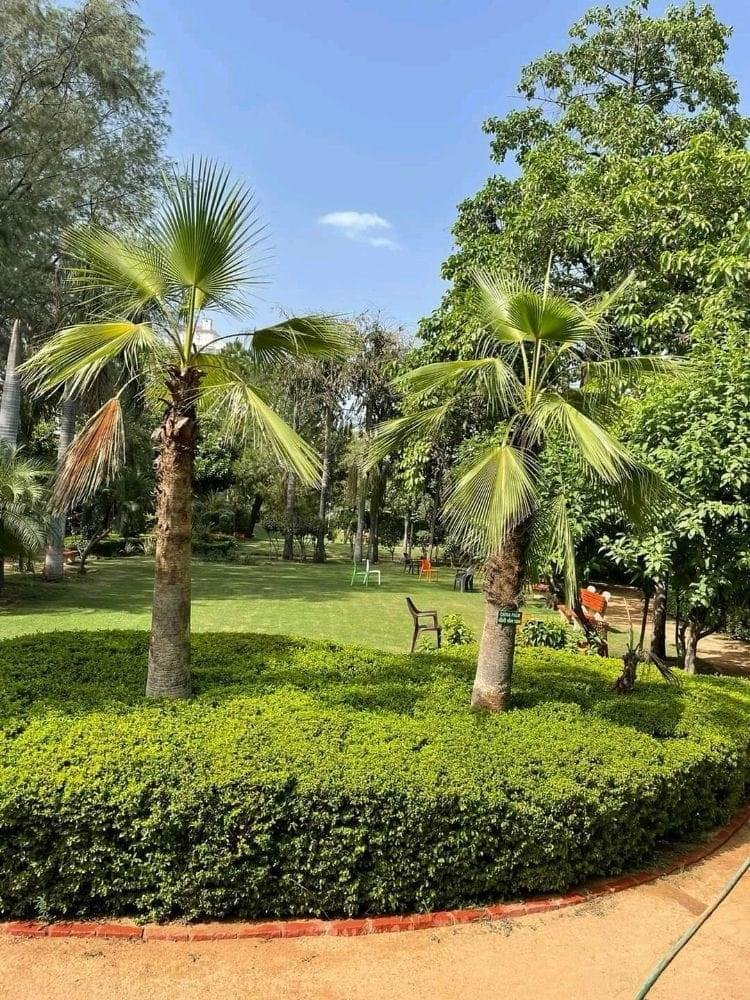 2BHK Fully Furnished Floor  in Sector 53, DLF Exclusive Floors, Gurgaon